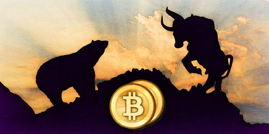 نبض بازار بورس تهران Bitcoin-bull-and-bear