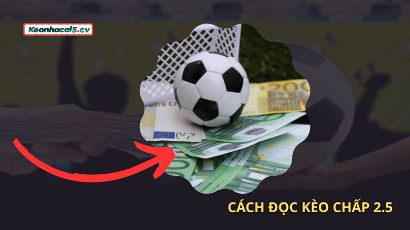 Bỏ túi cách đọc kèo chấp 2.5 chuẩn